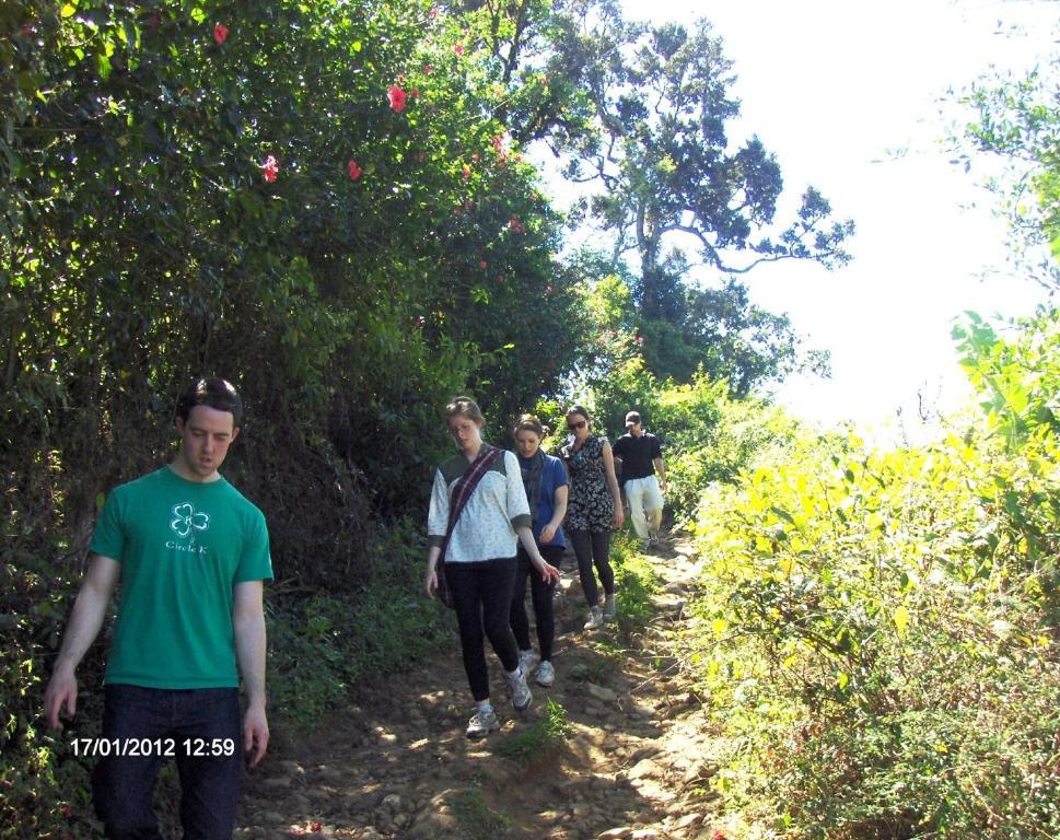 Mayapott Plantation Villa 테카디 외부 사진